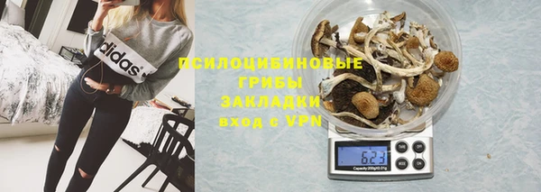 2c-b Белокуриха