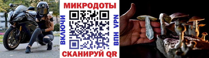 Галлюциногенные грибы Psilocybine cubensis  ОМГ ОМГ онион  Курильск 
